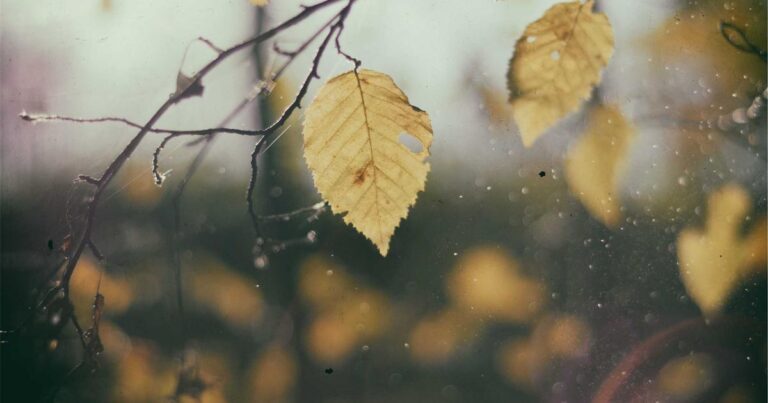 Gemma 4 - imagem de destaque