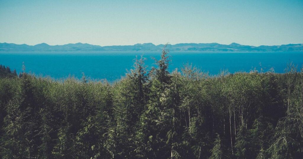 Ilustração sobre Acelerando a descoberta na Índia através da ciência e educação impulsionadas por inteligência artificial