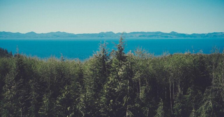 Ilustração sobre Acelerando a descoberta na Índia através da ciência e educação impulsionadas por inteligência artificial