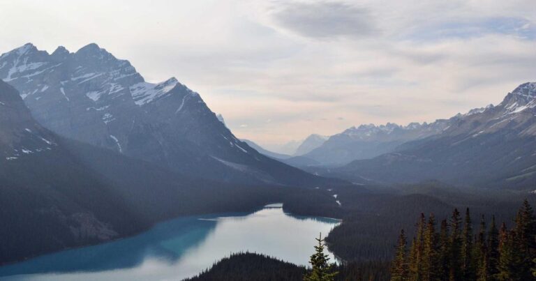 Ilustração sobre AI Agent Poke