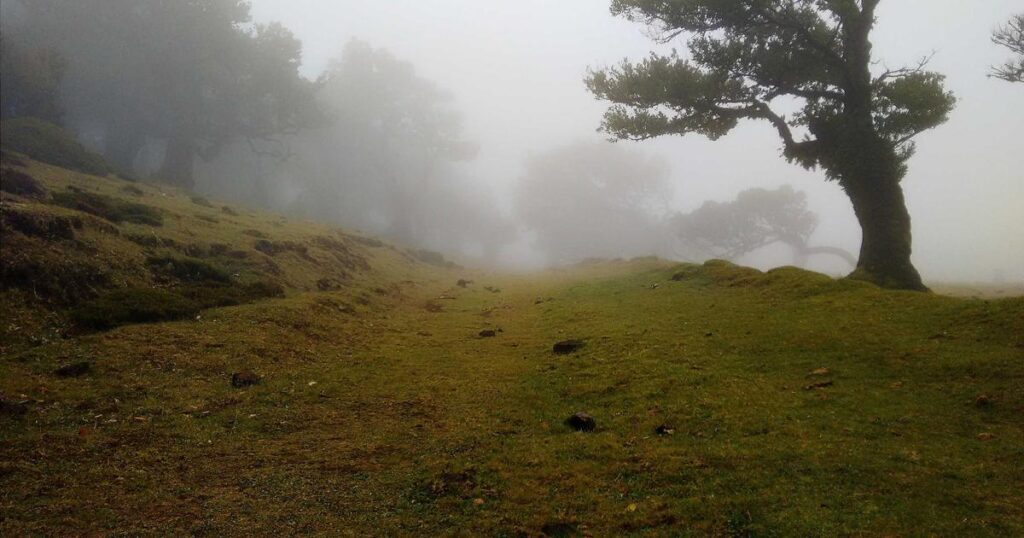 Ilustração sobre AlphaGo: 10 Anos