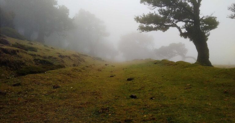 Ilustração sobre AlphaGo: 10 Anos