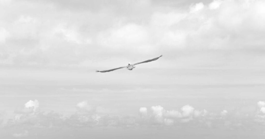 Ilustração sobre Anthropic: O Mês de Ouro