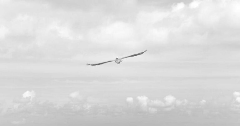 Ilustração sobre Anthropic: O Mês de Ouro