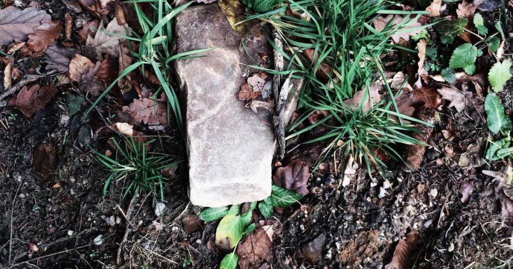 Ilustração sobre Astropad Workbench