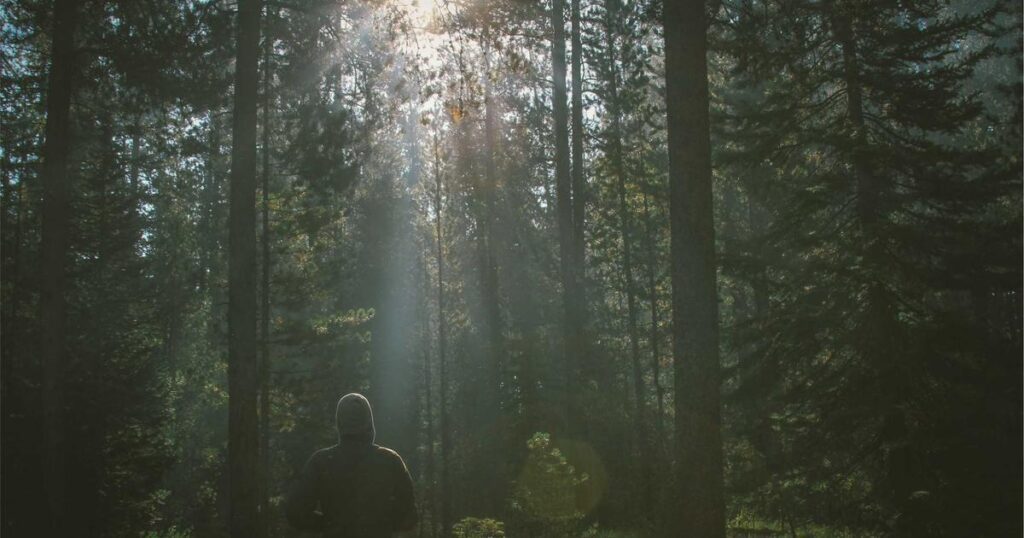 Ilustração sobre Cognichip: IA no Desenvolvimento de Chips