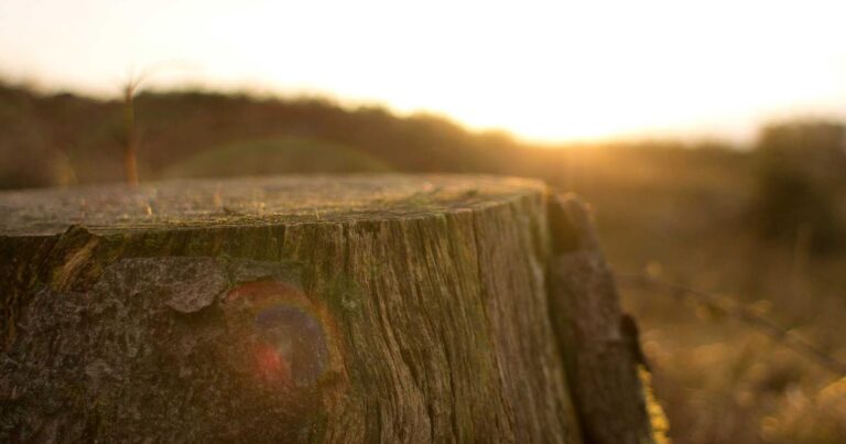 Ilustração sobre Dados Sintéticos