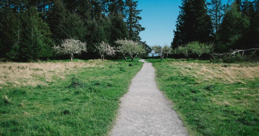 Ilustração sobre Desvendando Claude Code Skills: O Ponto de Equilíbrio Entre Prompt e Bibliotecas de Python