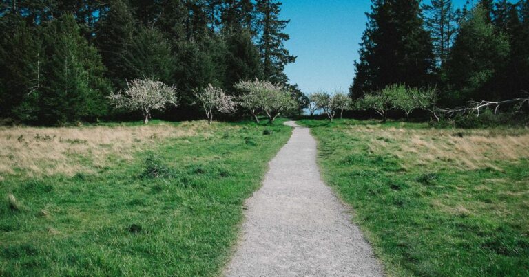 Ilustração sobre Desvendando Claude Code Skills: O Ponto de Equilíbrio Entre Prompt e Bibliotecas de Python