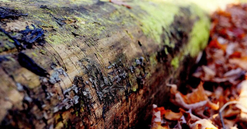 Ilustração sobre Empresas de IA e Gás Natural