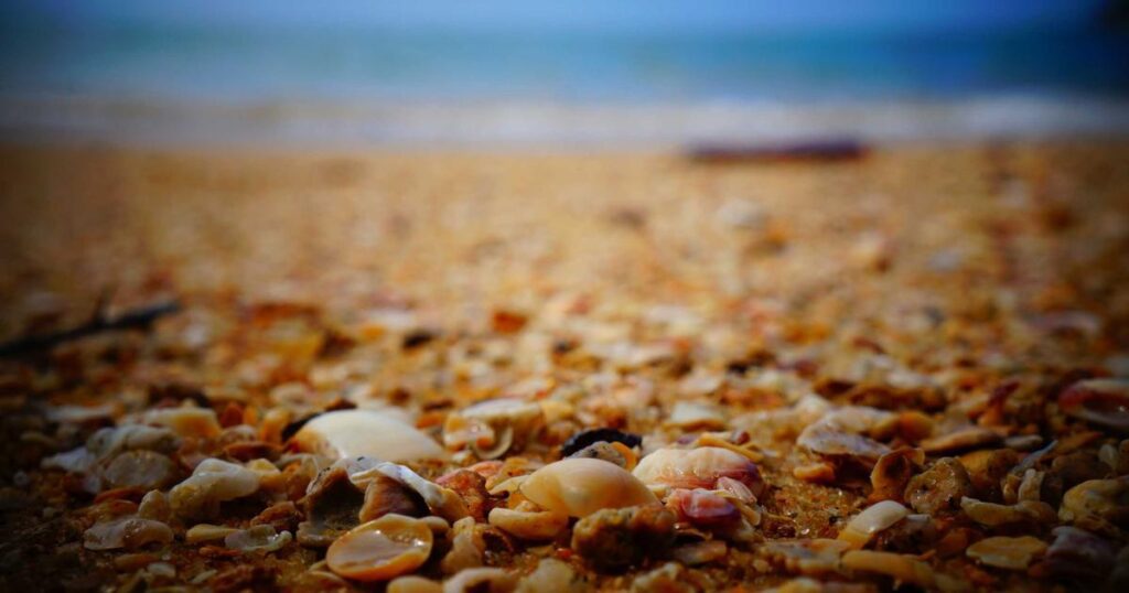 Ilustração sobre Entrevista com Aron D'Souza