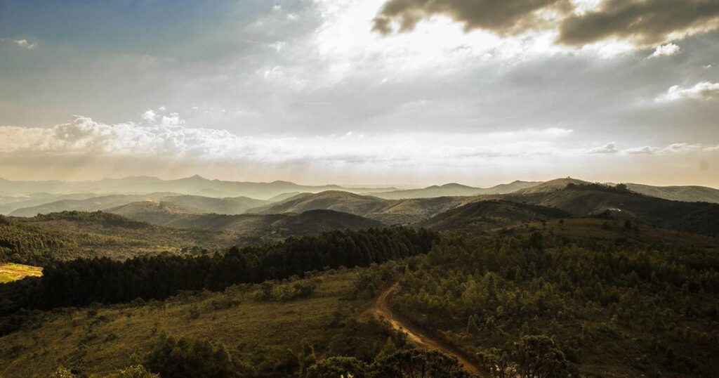 Ilustração sobre Essa startup de simulação quer ser o cursor para Inteligência Artificial Física