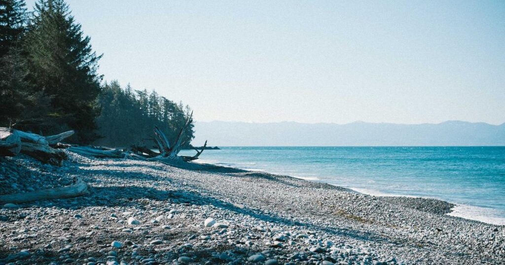 Ilustração sobre Gemini 3.1 Flash-Lite: Escala de Inteligência