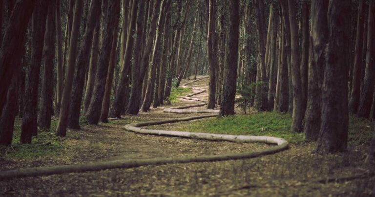 Ilustração sobre Gemini 3 Deep Think: Avançando a ciência, a pesquisa e a engenharia