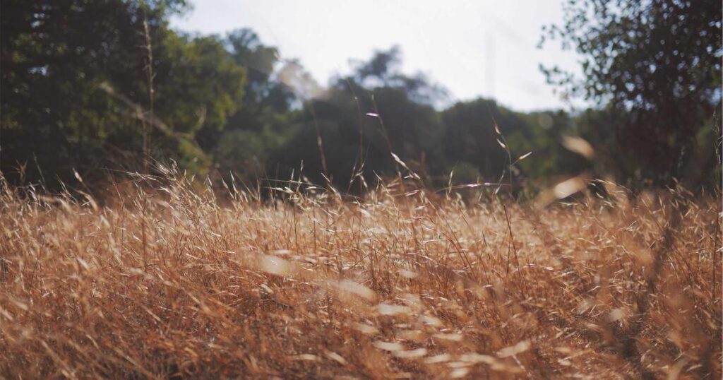 Ilustração sobre Google Aprofunda Parceria com Thinking Machines Lab com novo Acordo de Bilhões de Dólares