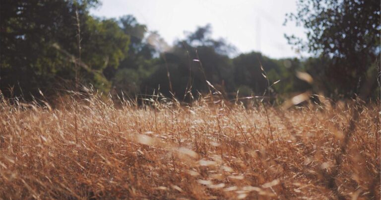 Ilustração sobre Google Aprofunda Parceria com Thinking Machines Lab com novo Acordo de Bilhões de Dólares