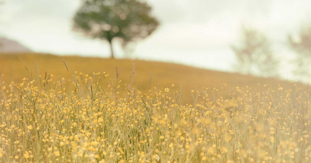 Ilustração sobre Google Vids App