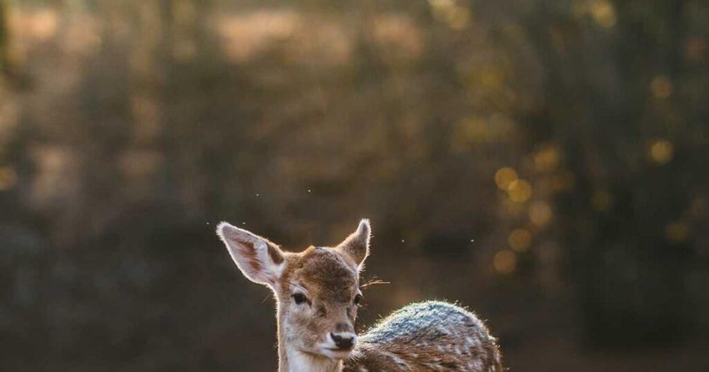 Ilustração sobre Hackers Divulgam Claude Code Leak