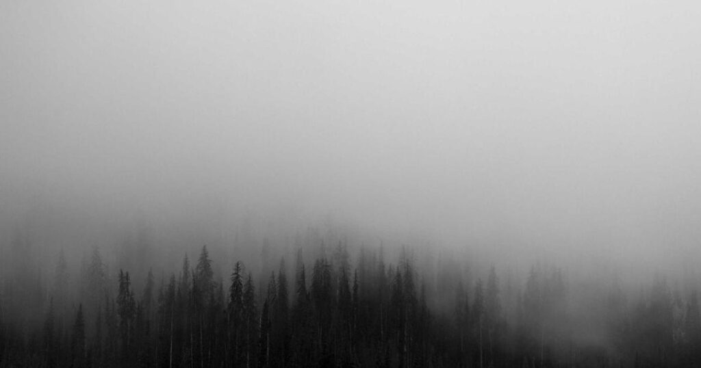 Ilustração sobre Internet e BS