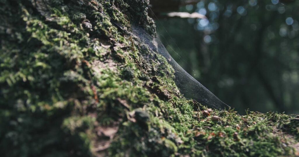 Ilustração sobre Medindo Progresso