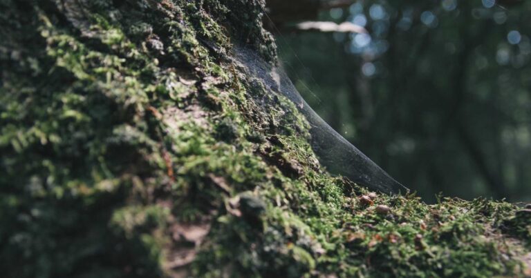 Ilustração sobre Medindo Progresso