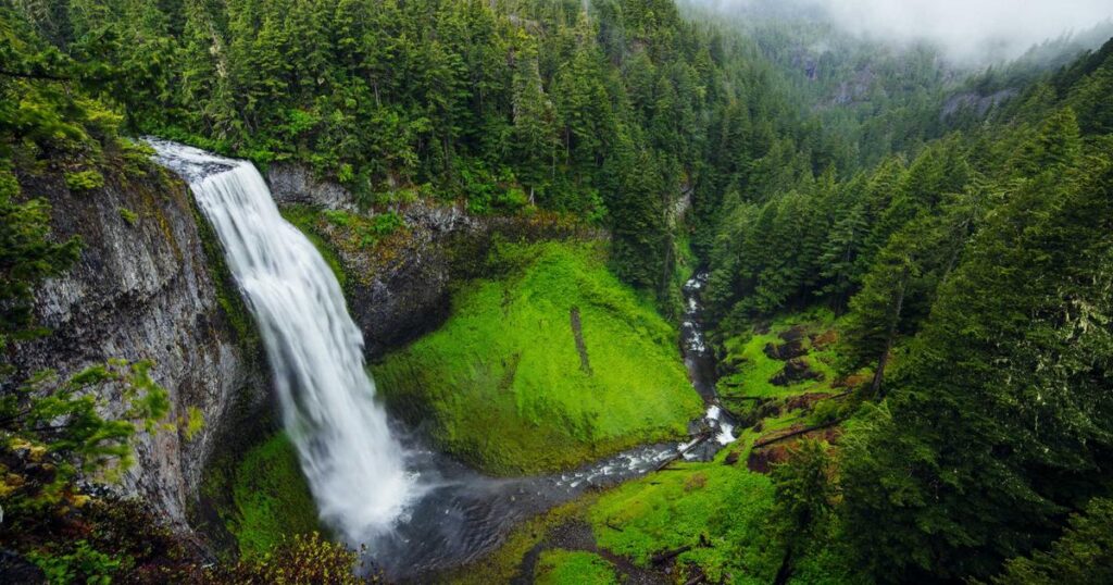 Ilustração sobre Memória e Confiança