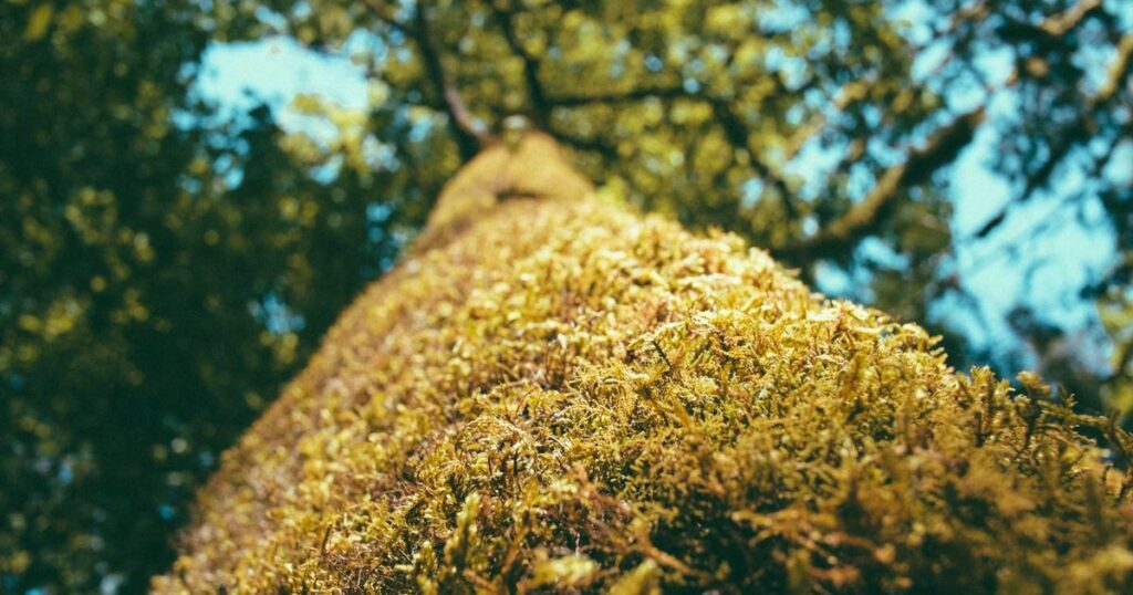 Ilustração sobre Mercor: $10B