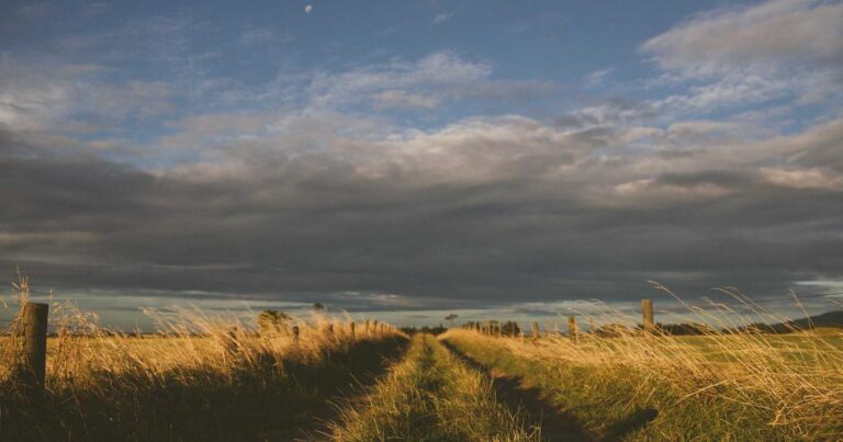 Ilustração sobre Mercor em Crise