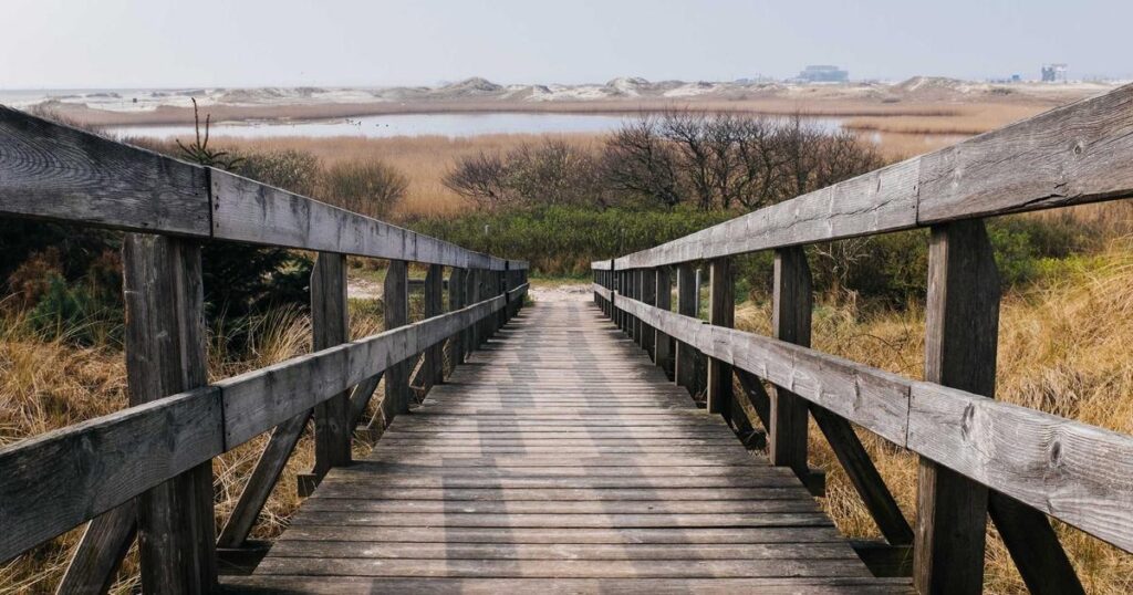 Ilustração sobre Meta's AI e Dados de Saúde