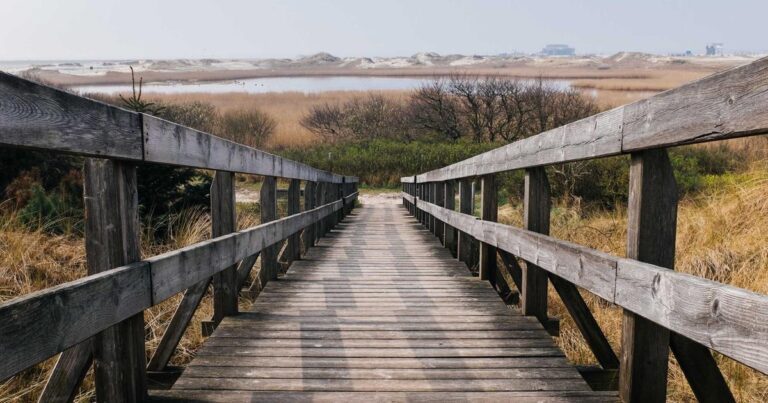 Ilustração sobre Meta's AI e Dados de Saúde