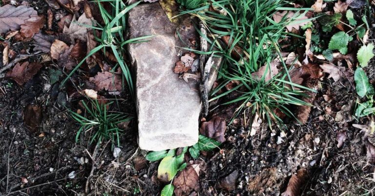 Ilustração sobre Mulher que foi estuprada acusa a OpenAI de ter alimentado as delusões de seu agressor