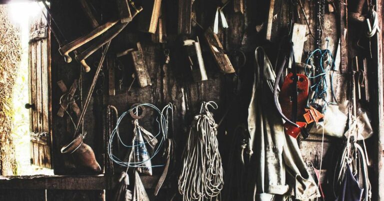 Ilustração sobre Multimodal Embedding & Reranker