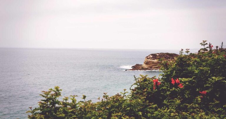 Ilustração sobre Mythos: Segurança Cibernética