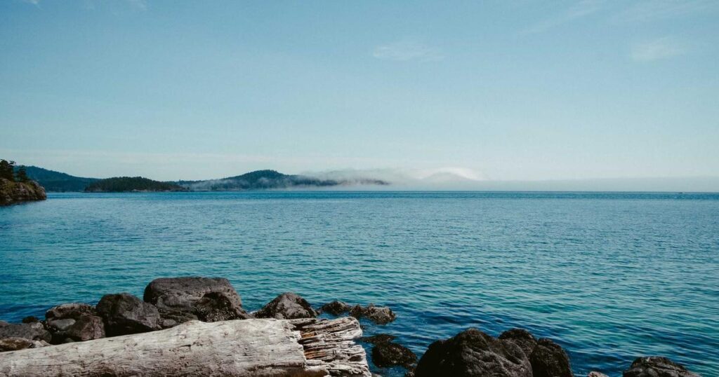 Ilustração sobre Notificações de Push em Perigo