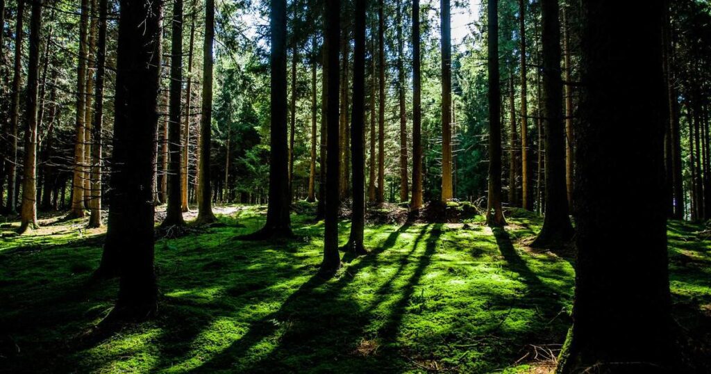 Ilustração sobre O Futuro do AI para Vendas é Diverso e Distribuído