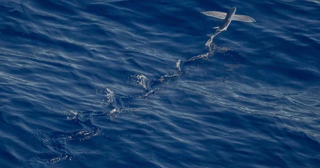 Ilustração sobre O Poder da Inteligência Artificial: Democratizando um dos Recursos Mais Valiosos da Tecnologia