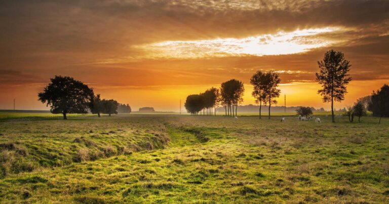 Ilustração sobre OpenAI GPT-5.5