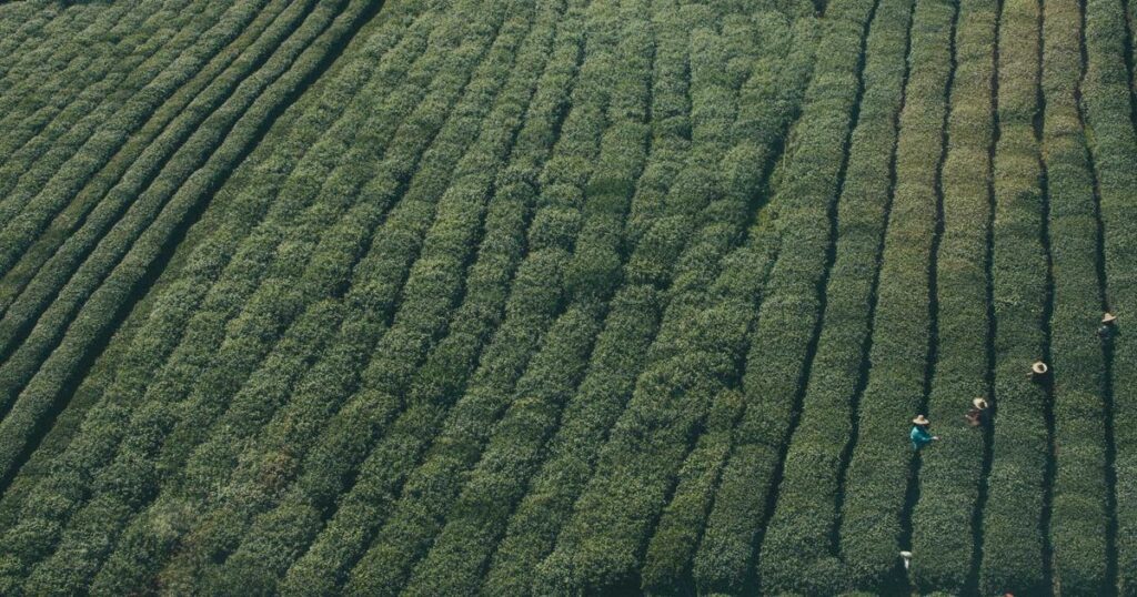 Ilustração sobre OpenAI Investe