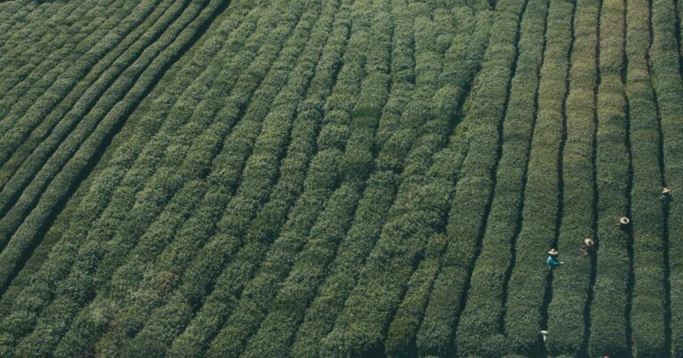 Ilustração sobre OpenAI Investe