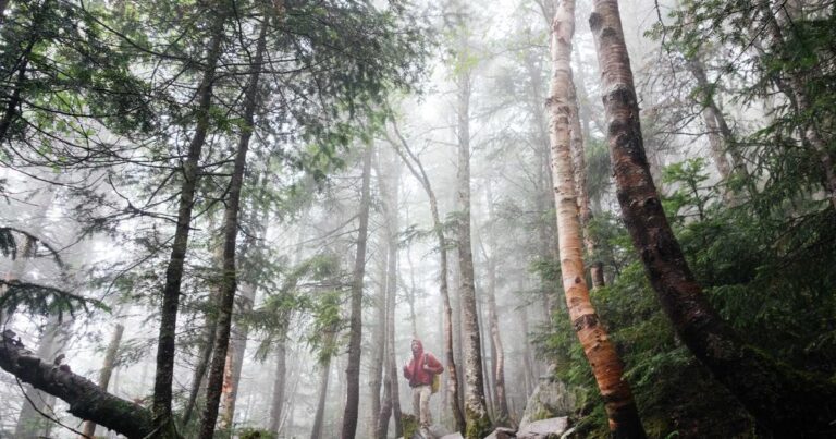 Ilustração sobre OpenAI: Nova Estrutura