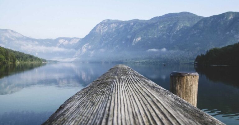 Ilustração sobre Poke: AI Simplificada