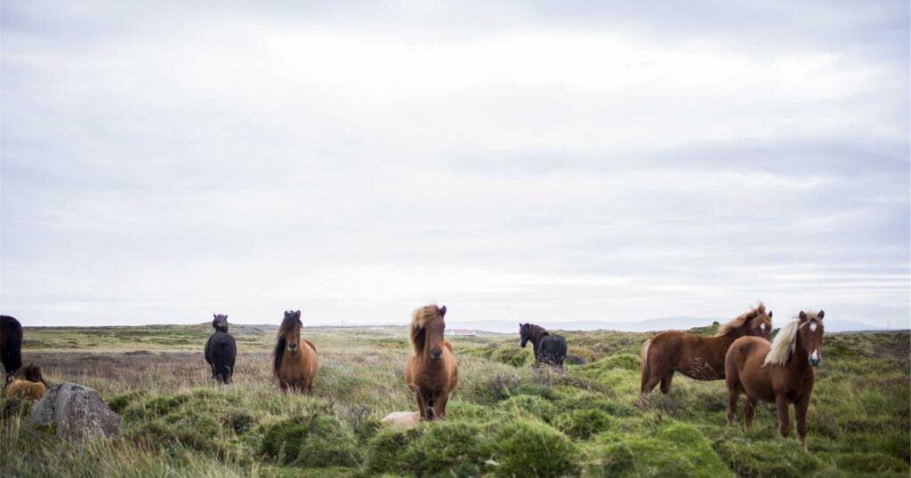 Ilustração sobre Recuperação Avançada RAG