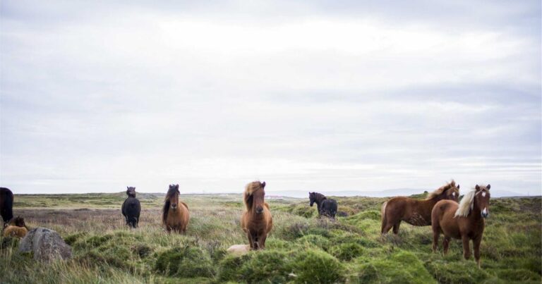 Ilustração sobre Recuperação Avançada RAG