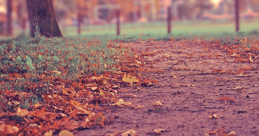 Ilustração sobre Save up a $500 com o seu ingresso para o TechCrunch Disrupt 2026