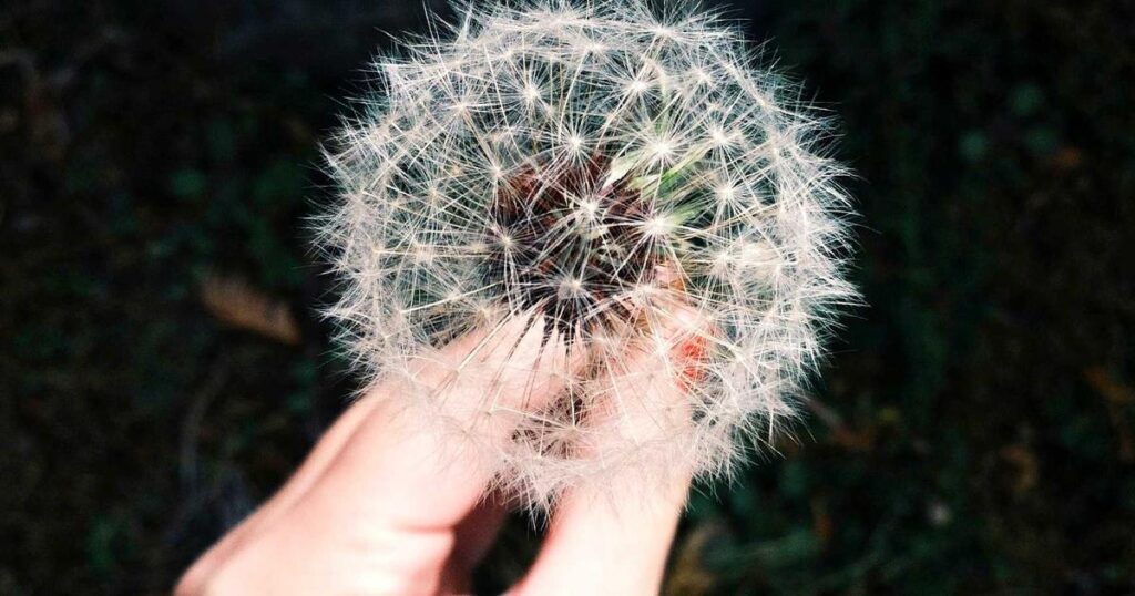 Ilustração sobre SpaceX e Cursor: Parceria Revolucionária