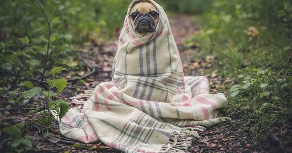 Ilustração sobre Tokenmaxxing