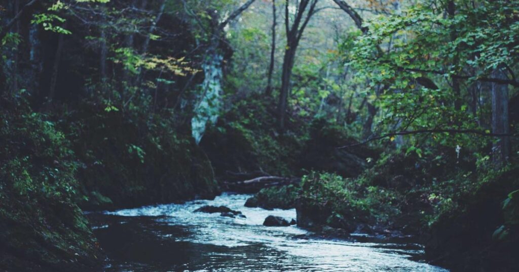 Ilustração sobre Vale do Silício Gasta Milhões