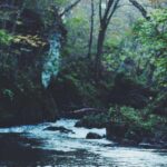 Ilustração sobre Vale do Silício Gasta Milhões