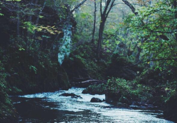 Ilustração sobre Vale do Silício Gasta Milhões