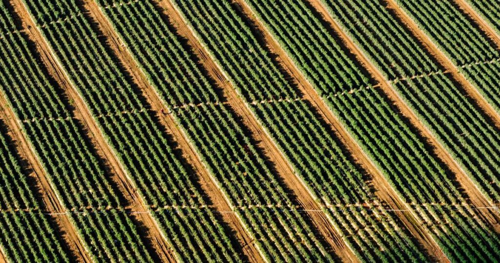 Ilustração sobre VLA Models